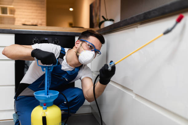 Best Emergency Pest Control  in Jonesborough, TN