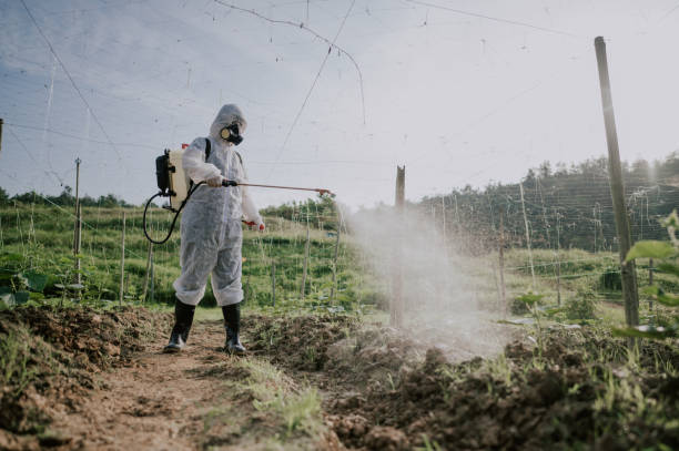 Best Pest Control Near Me  in Jonesborough, TN