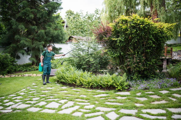 Best Wildlife Control Services  in Jonesborough, TN