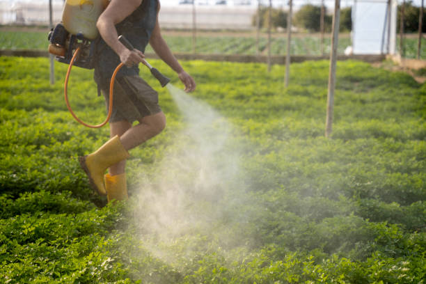 Best Ant Control Services  in Jonesborough, TN