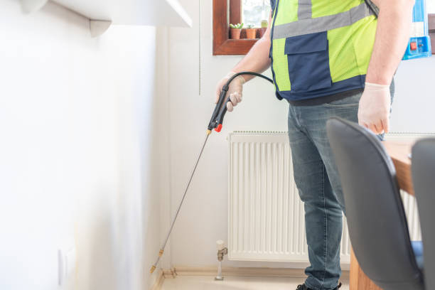 Flea Control Services in Jonesborough, TN