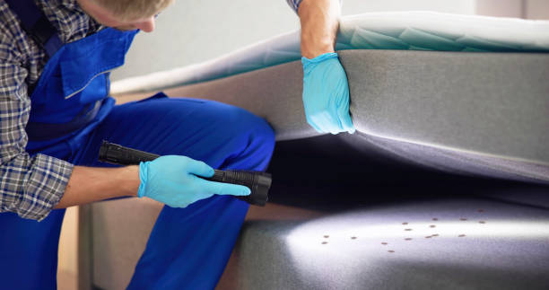 Best Affordable Pest Control Services  in Jonesborough, TN