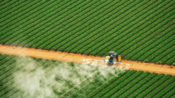  Jonesborough, TN Pest Control Pros