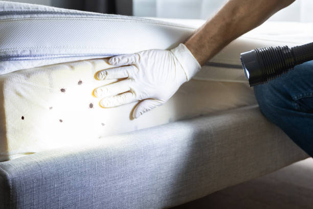 Best Commercial Pest Control Services  in Jonesborough, TN