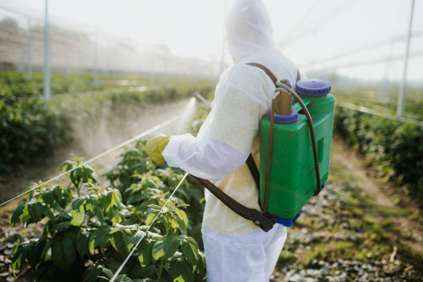 Best Flea Control Services  in Jonesborough, TN